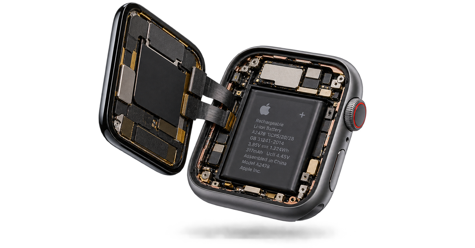 Apple Watch abierto mostrando su batería interna